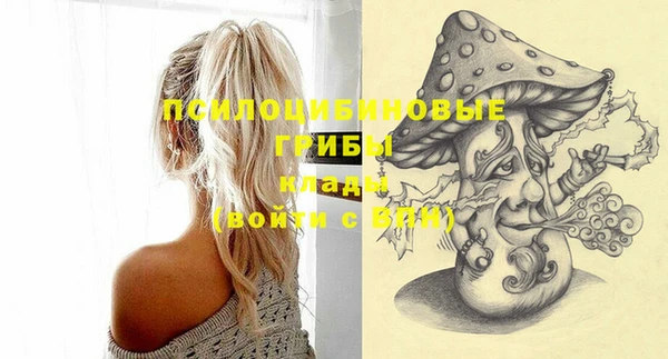 эйфоретик Кулебаки