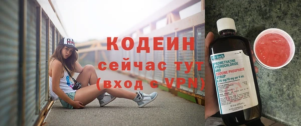 СК Кукмор