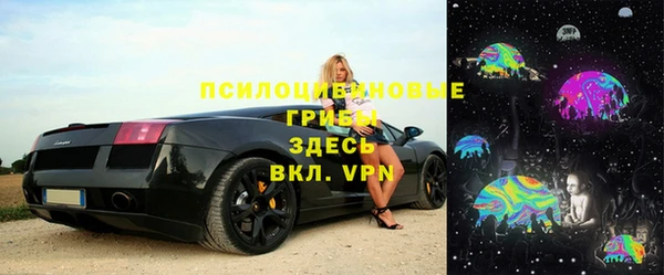 СК Кукмор