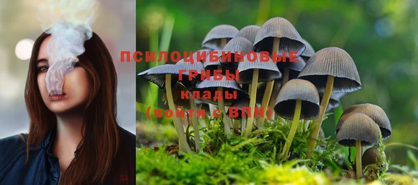 эйфоретик Кулебаки