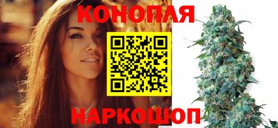 прущие крисы Изобильный