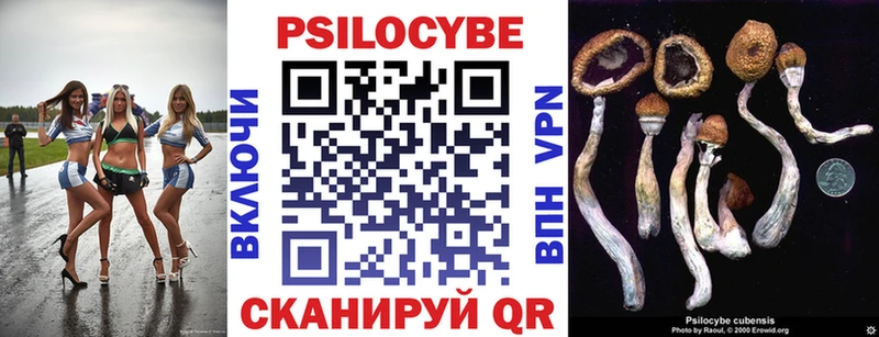 OMG онион  Междуреченск  Галлюциногенные грибы Cubensis  купить наркотики цена 