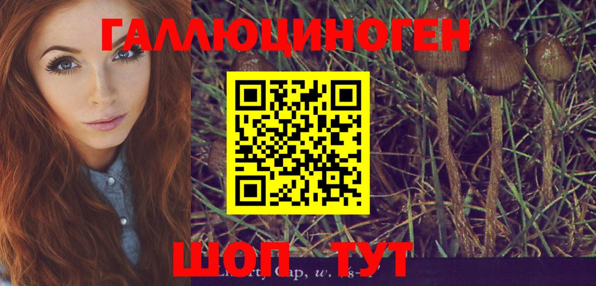 Галлюциногенные грибы Psilocybine cubensis  закладка  Вход с VPN  Междуреченск  Псилоцибиновые грибы Cubensis 