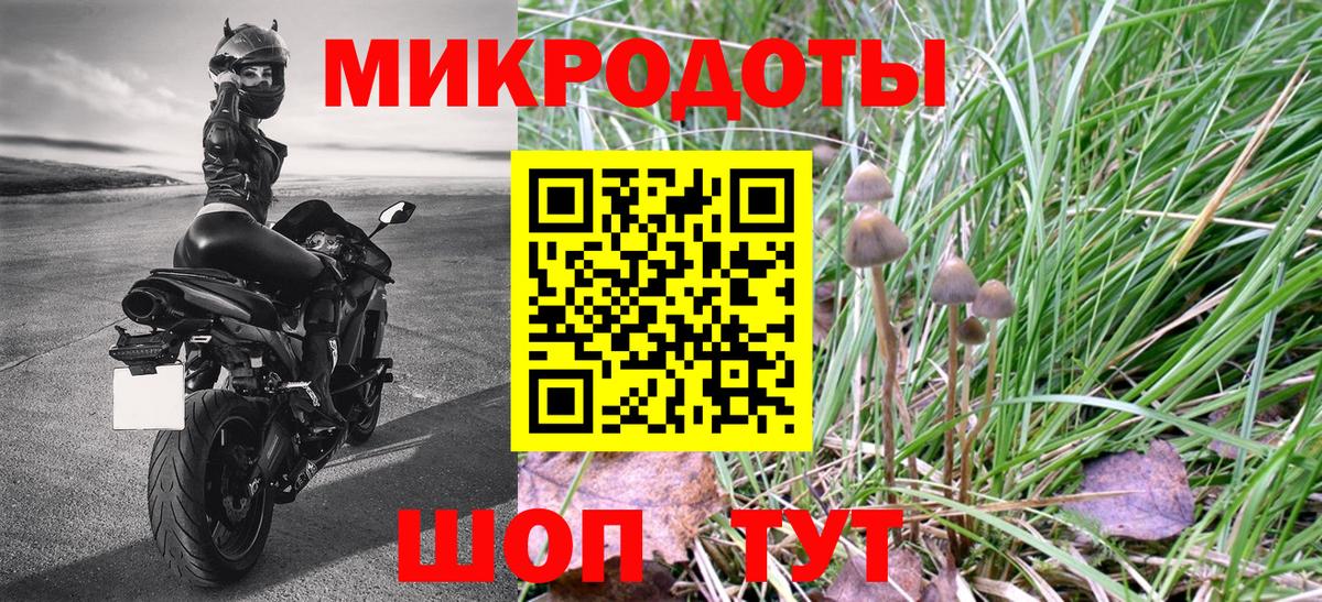 Псилоцибиновые грибы GOLDEN TEACHER  Междуреченск  Псилоцибиновые грибы Cubensis 